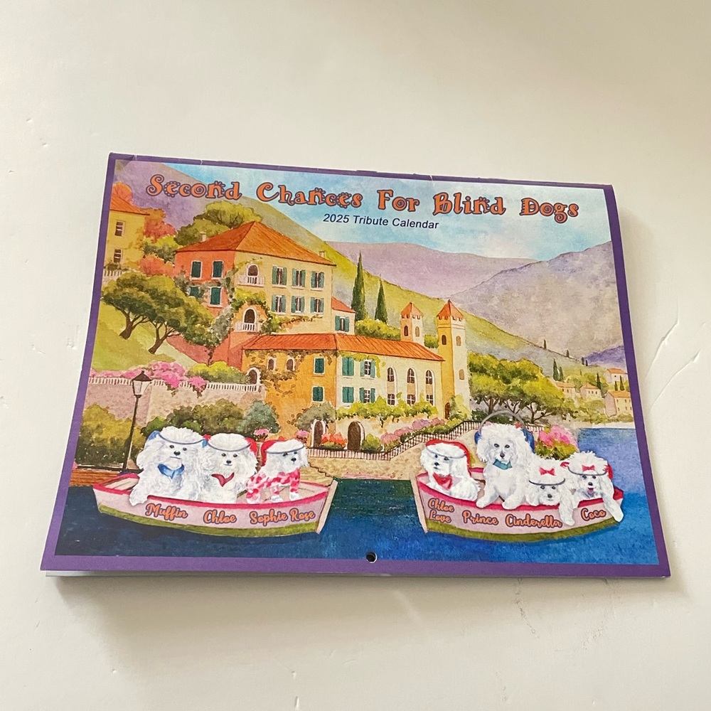 Unique 2025 Blind Dogs Calendar
